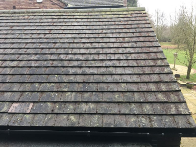 Clean roof after professional cleaning by the best exterior cleaning company