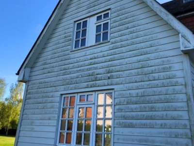 A close-up view of the exterior cladding on a building. The cladding is covered in dirt, grime, and possibly some mildew or algae. The surface appears discolored and neglected, with noticeable streaks and patches of accumulated debris.