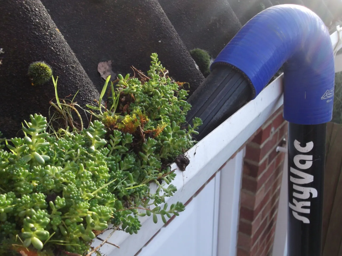 A close-up view of a gutter clogged with leaves, dirt, and debris. The gutter is visibly dirty, with water stains and signs of neglect. Overhanging leaves and twigs are blocking the water flow, leading to potential water damage and inefficiency.