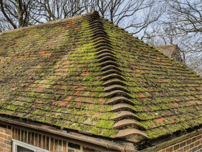 Dirty roof before professional cleaning by the best exterior cleaning company